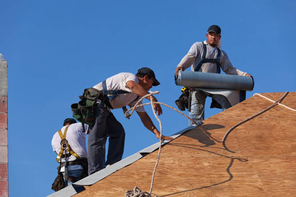 Professional Roofing Contractor in Minden, NV