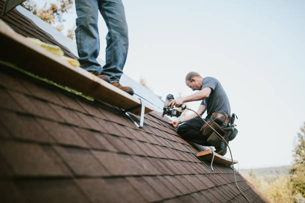 Roof Repair Estimates in Minden, NV
